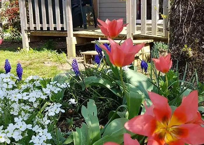 Κάμπινγκ Lepigeonnier A Pres Du Gouffre De Padirac Miers